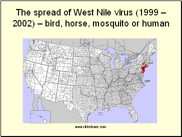 The spread of West Nile virus (1999  2002)  bird, horse, mosquito or human