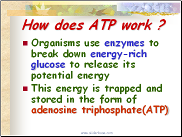 How does ATP work ?