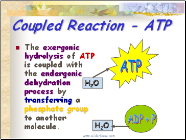 Coupled Reaction - ATP