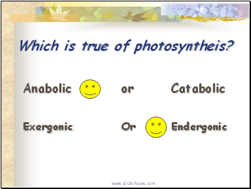 Which is true of photosyntheis?