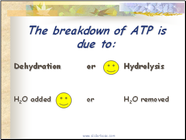 The breakdown of ATP is due to: