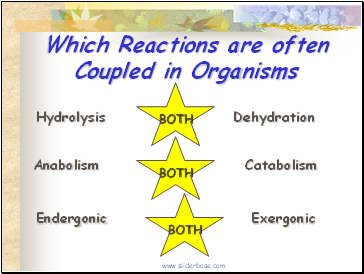 Which Reactions are often Coupled in Organisms