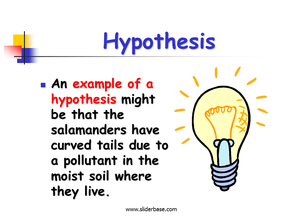 Scientific Method - Presentation Biology