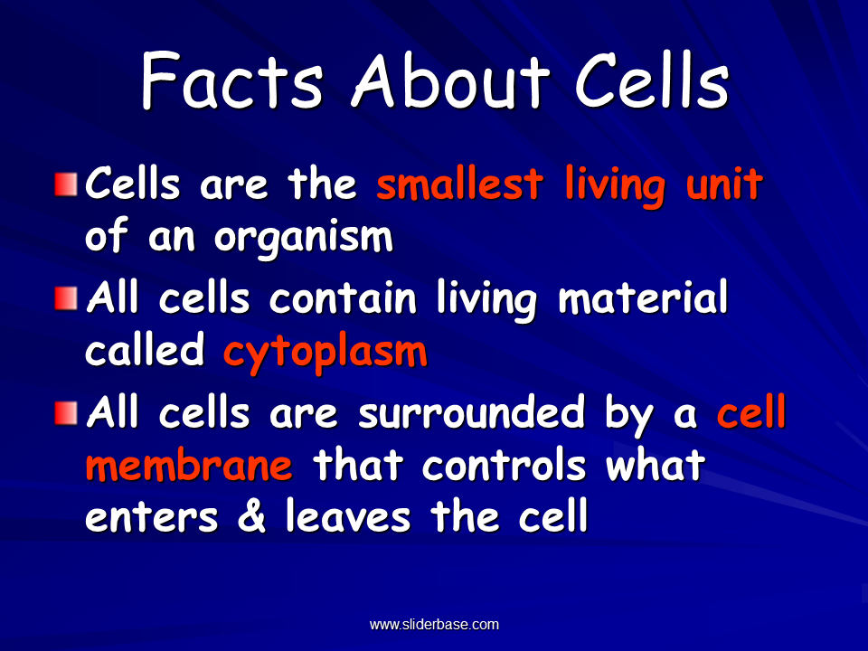 Study of Biology Presentation Biology