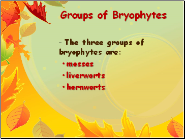 Groups of Bryophytes