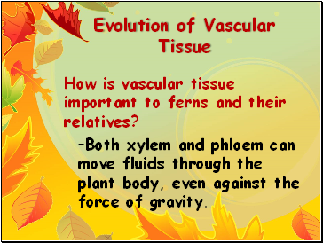 Evolution of Vascular Tissue