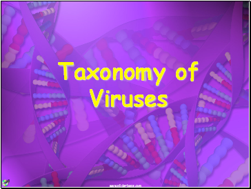 Taxonomy of Viruses