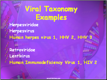Viral Taxonomy Examples