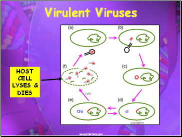 Virulent Viruses