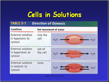 Cells in Solutions