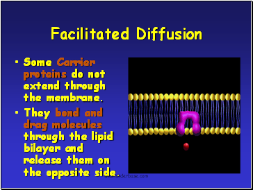 Facilitated Diffusion