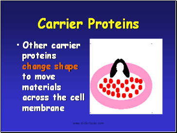 Carrier Proteins