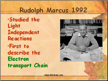 Rudolph Marcus 1992