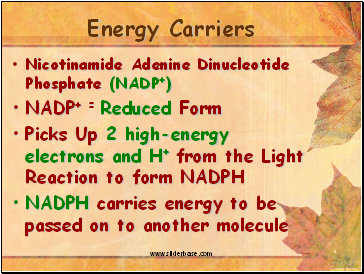 Energy Carriers