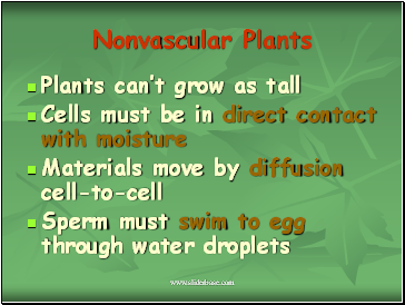 Nonvascular Plants
