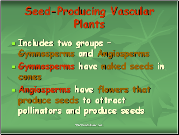 Seed-Producing Vascular Plants