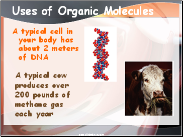 Uses of Organic Molecules