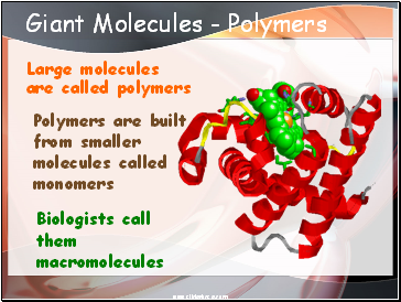 Giant Molecules - Polymers