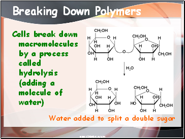 Breaking Down Polymers
