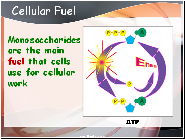 Cellular Fuel