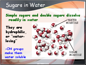 Sugars in Water