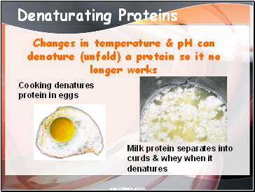 Denaturating Proteins