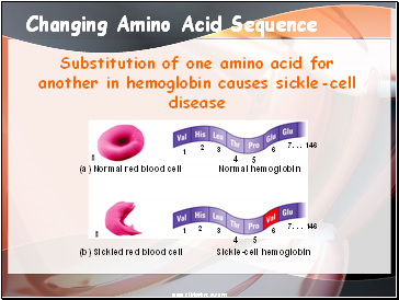 Changing Amino Acid Sequence