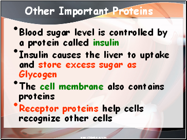 Other Important Proteins
