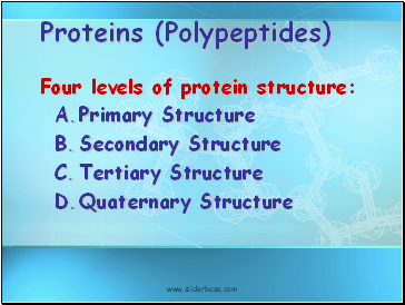 Proteins (Polypeptides)