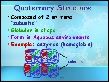 Quaternary Structure