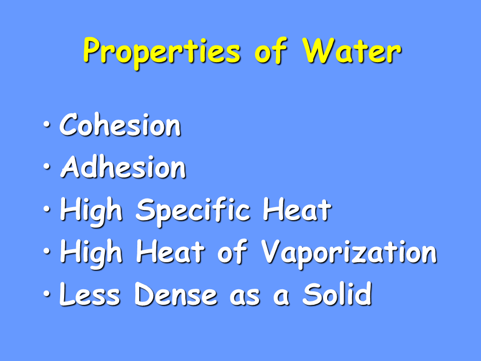 Properties of Water Presentation Biology