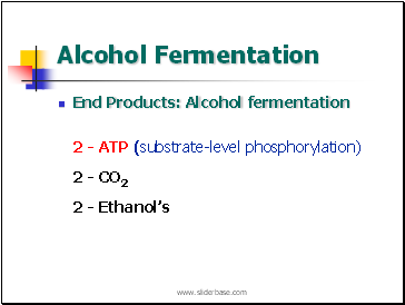 Alcohol Fermentation