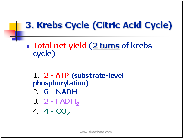 3. Krebs Cycle (Citric Acid Cycle)