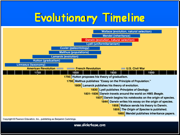 Evolutionary Timeline