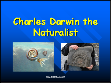Charles Darwin the Naturalist
