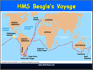 HMS Beagles Voyage