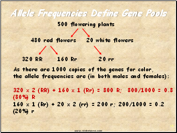 Allele Frequencies Define Gene Pools