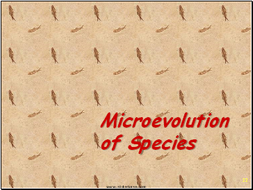 Microevolution of Species