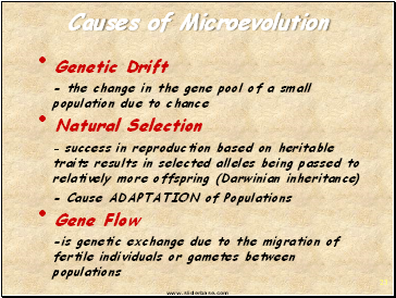 Causes of Microevolution