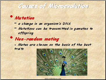 Causes of Microevolution