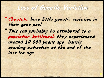 Loss of Genetic Variation