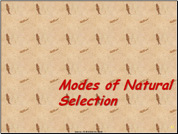 Modes of Natural Selection