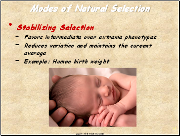 Modes of Natural Selection