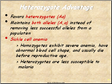 Heterozygote Advantage