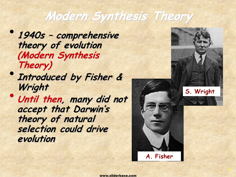 A summary of the modern synthesis theory