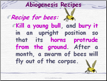 Abiogenesis Recipes