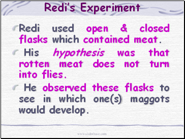 Redis Experiment