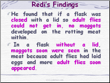Redis Findings