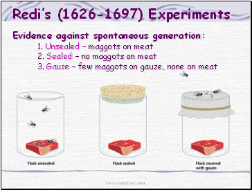Redis (1626-1697) Experiments
