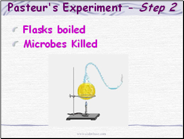 Pasteur's Experiment - Step 2